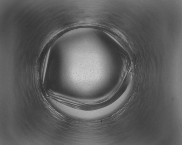 X0000082951458200702222300