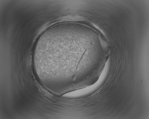 X0000082951459200702222300