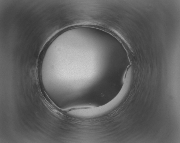 X0000082951460200702222300