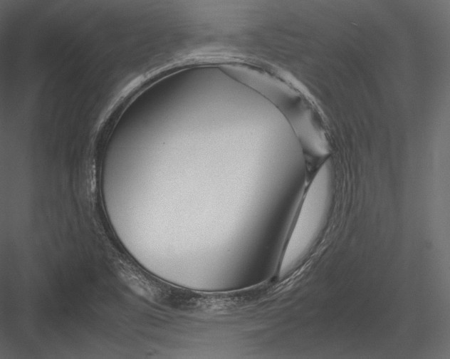 X0000082951461200702222300