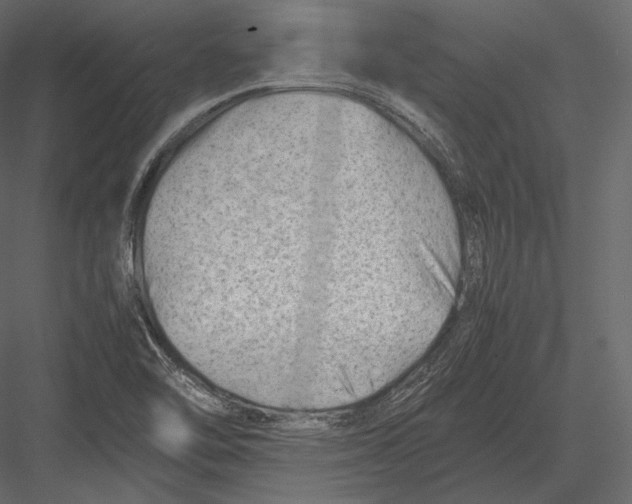 X0000082951462200702222300