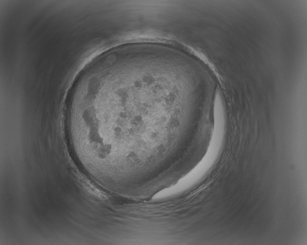 X0000082951463200702222300