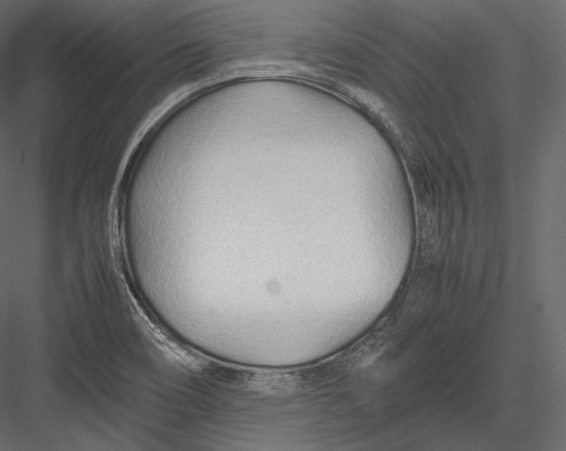 X0000082951466200702222300