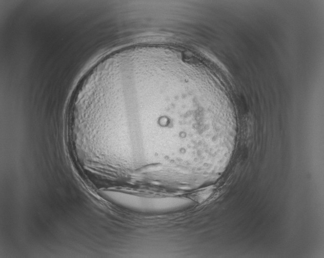 X0000082951467200702222300