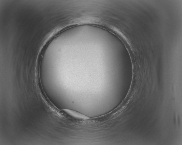 X0000082951469200702222300