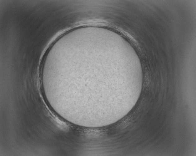 X0000082951470200702222300