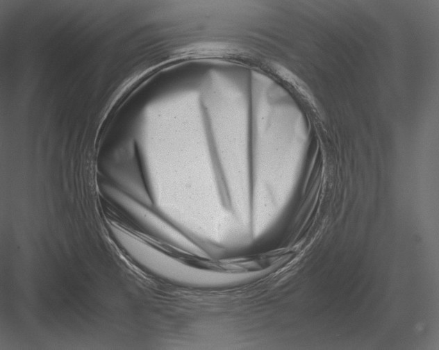 X0000082951473200702222300