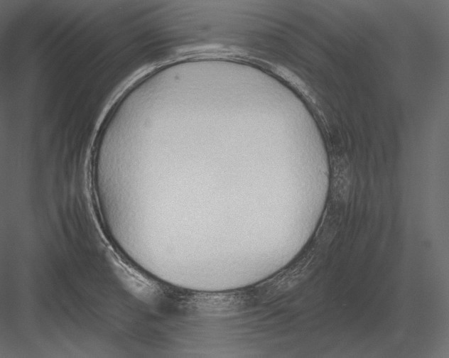 X0000082951474200702222300