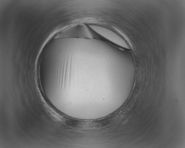 X0000082951475200702222300