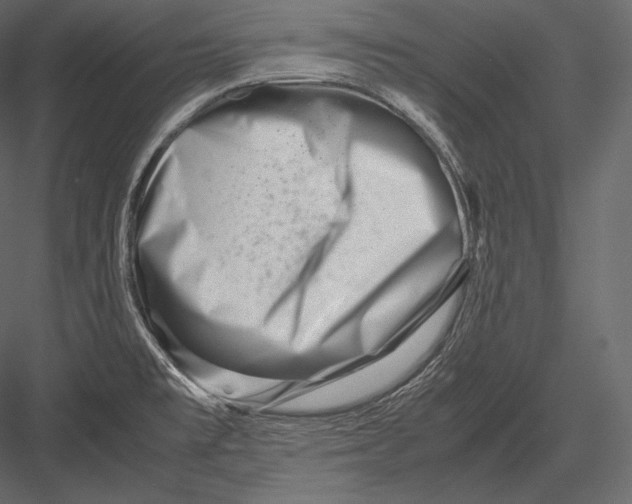 X0000082951477200702222300