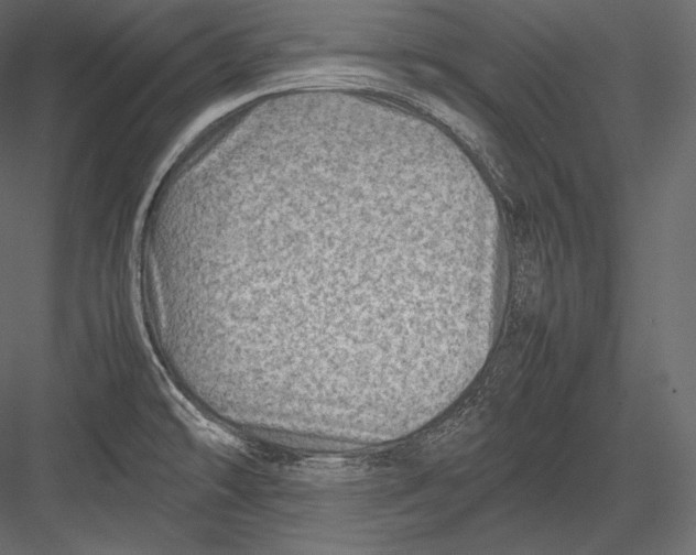 X0000082951478200702222300