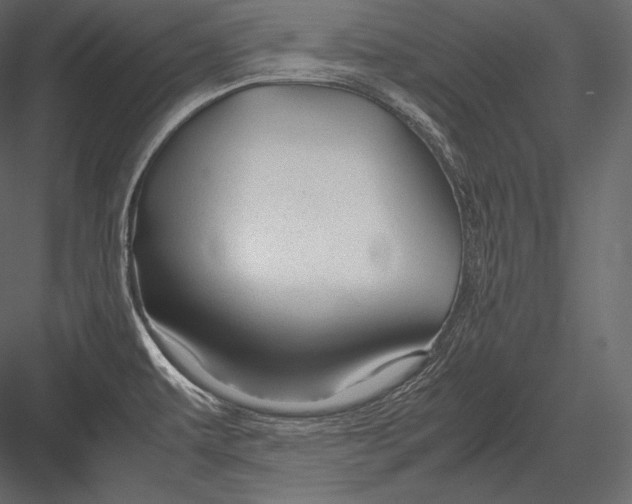 X0000082951479200702222300