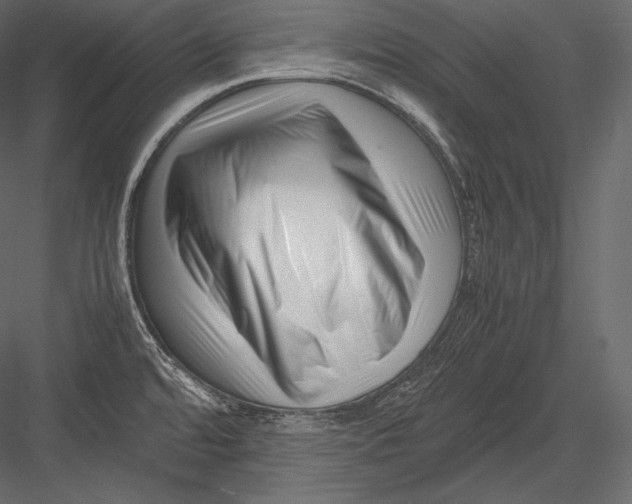 X0000082951480200702222300