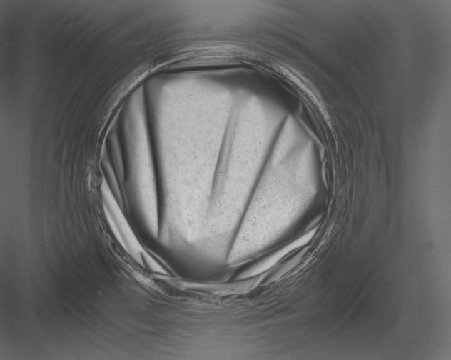 X0000082951481200702222300