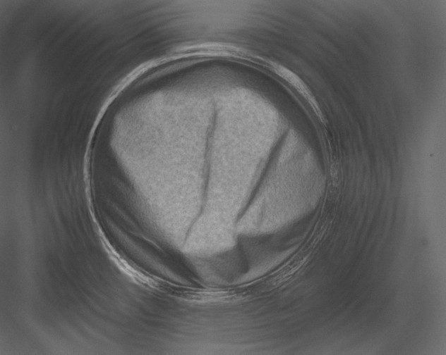 X0000082951482200702222300