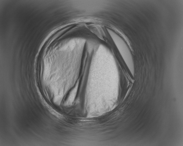 X0000082951483200702222300