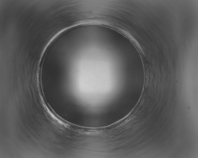 X0000082951484200702222300