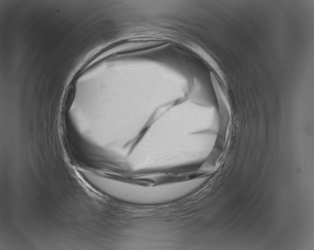 X0000082951485200702222300