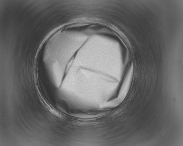 X0000082951486200702222300