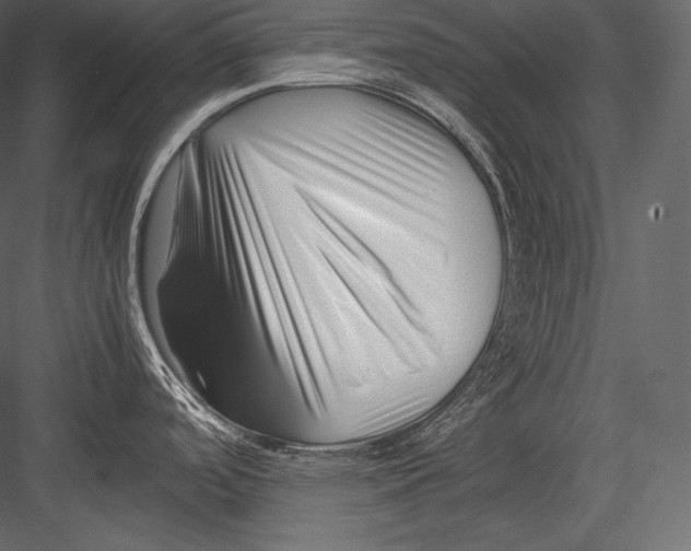 X0000082951488200702222300