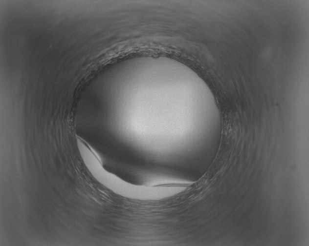 X0000082951490200702222259