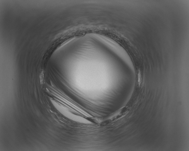 X0000082951492200702222259