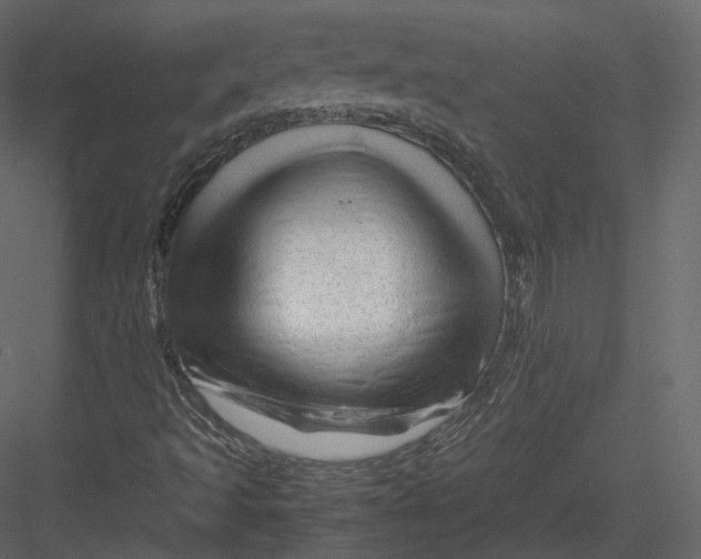 X0000082951493200702222259