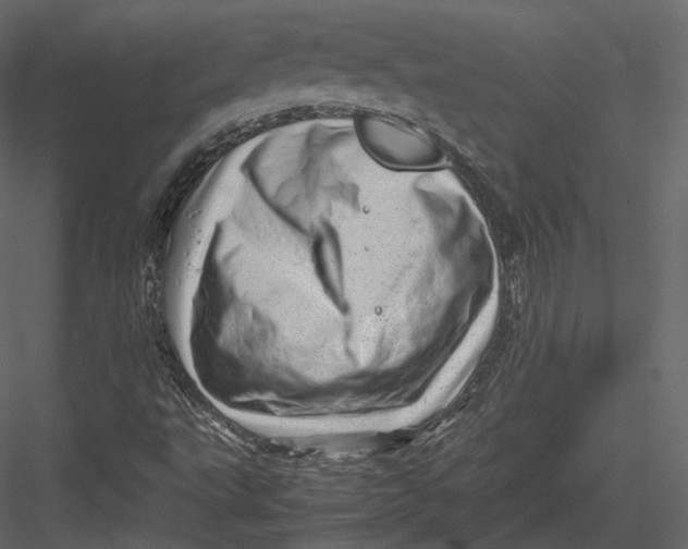 X0000082951495200702222259