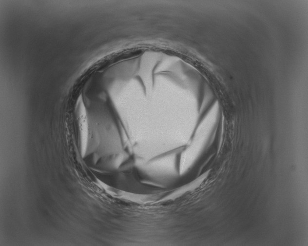 X0000082951496200702222259