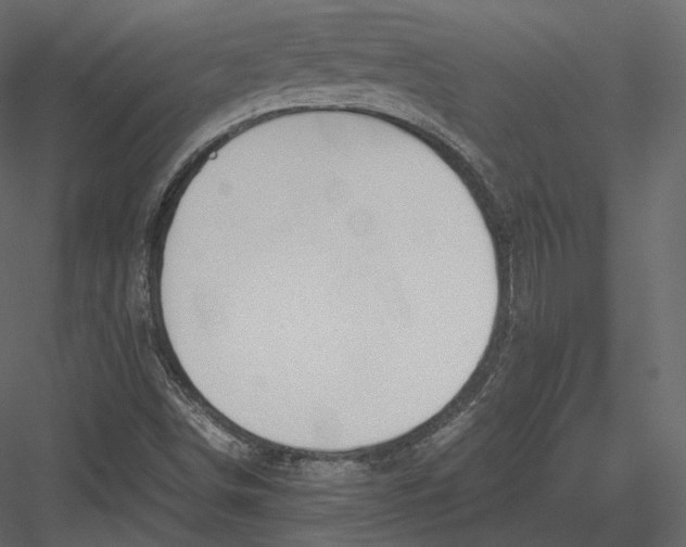 X0000082951498200702222259