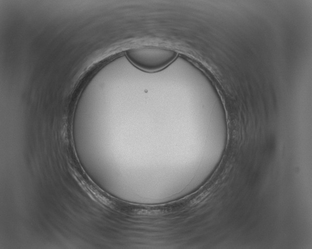 X0000082951499200702222259