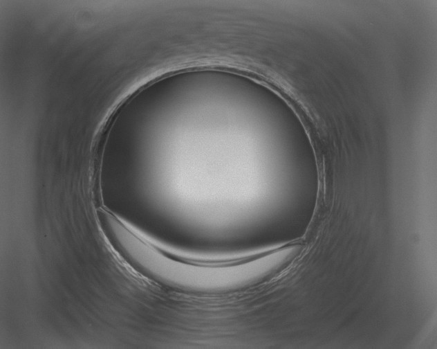 X0000082951500200702222259