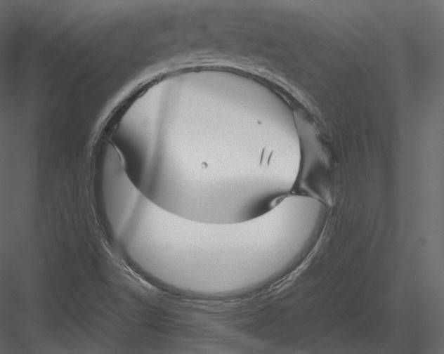 X0000082951502200702222259