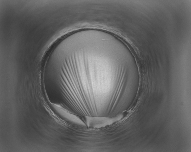 X0000082951503200702222259