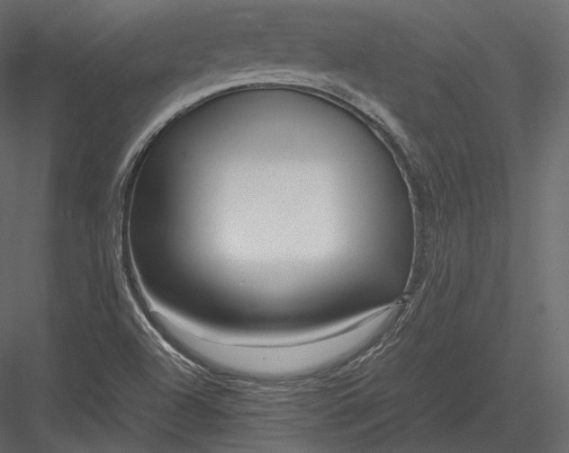 X0000082951504200702222259