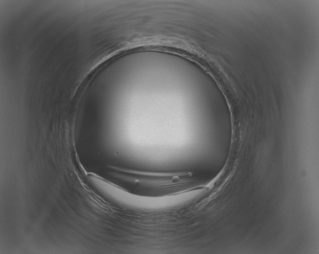 X0000082951505200702222259