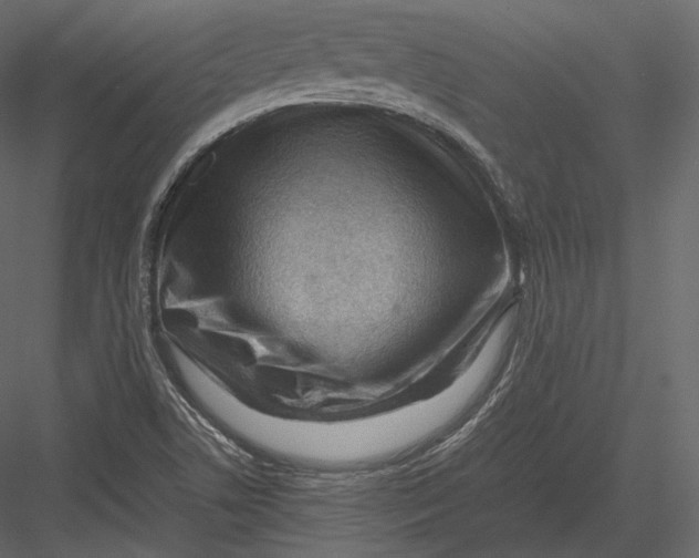 X0000082951506200702222259