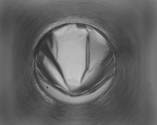 X0000082951507200702222259