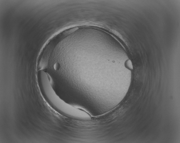 X0000082951508200702222259