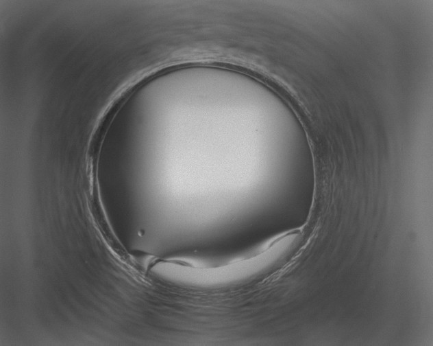 X0000082951509200702222259