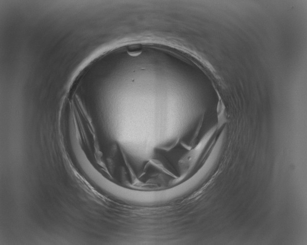 X0000082951510200702222259