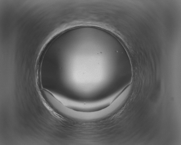 X0000082951511200702222259