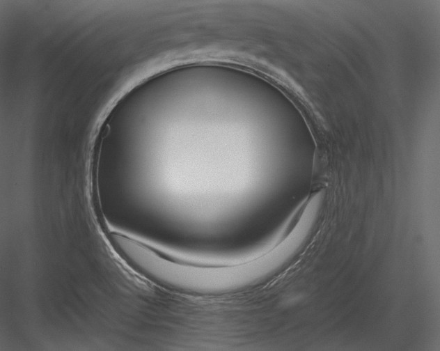 X0000082951512200702222259