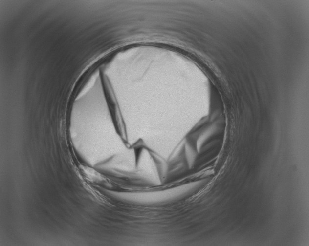 X0000082951513200702222259