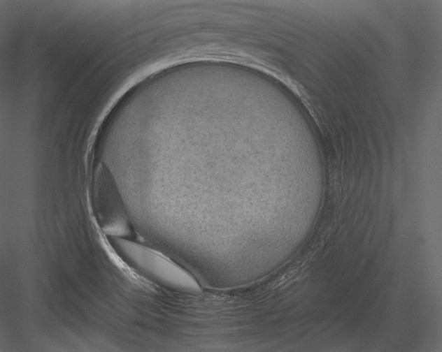 X0000082951515200702222259