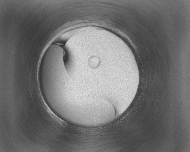 X0000082951516200702222259