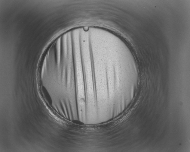 X0000082951517200702222259