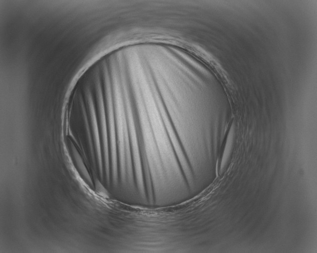 X0000082951520200702222259