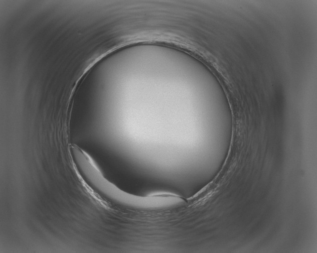 X0000082951521200702222300