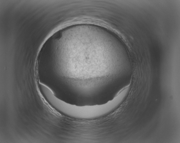 X0000082951522200702222300